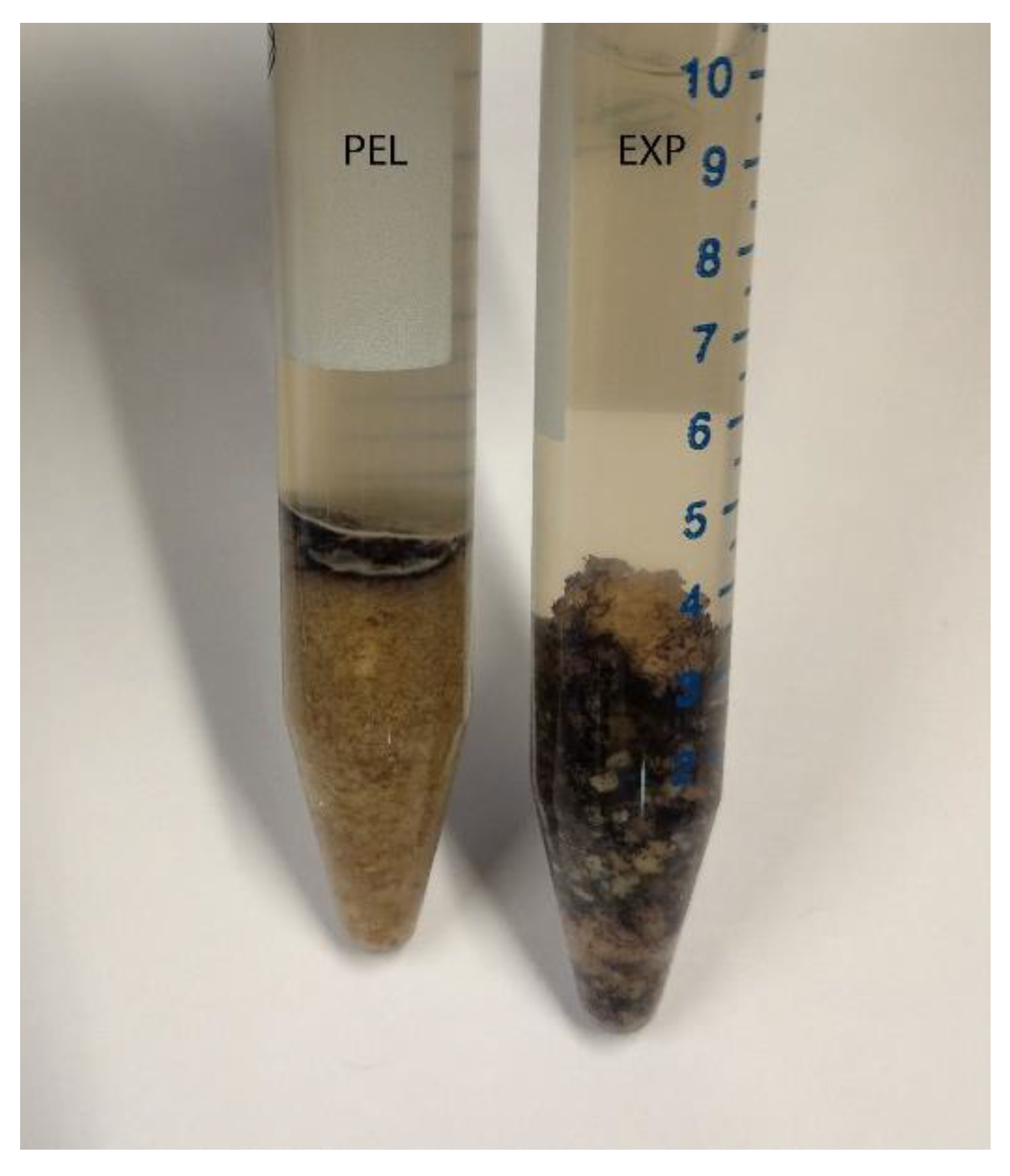 Animals 12 00952 g001