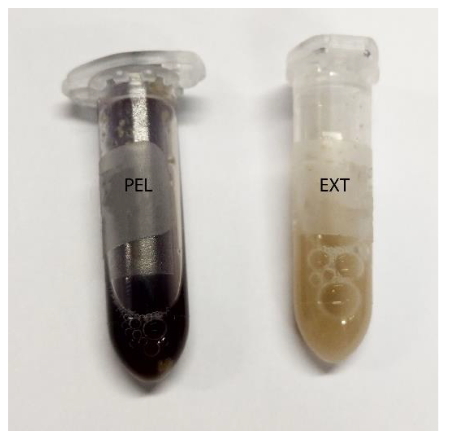 Animals 12 00952 g003