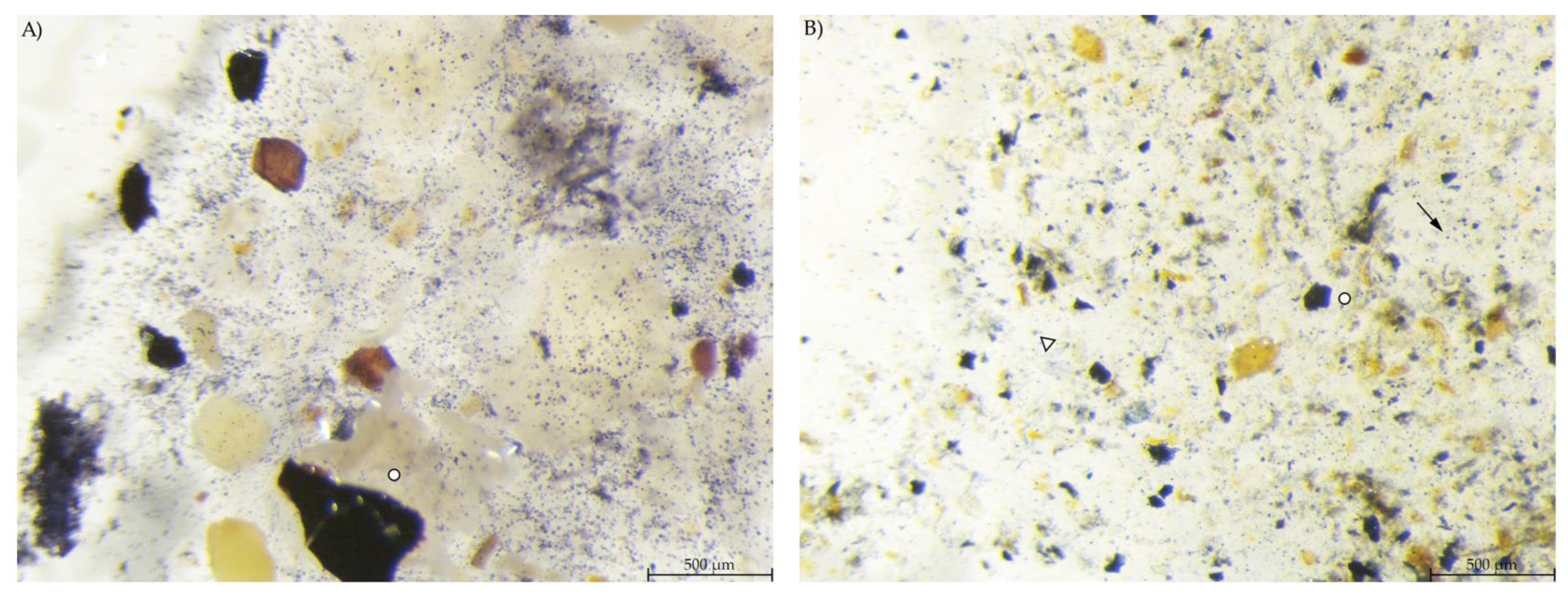 Animals 12 00952 g005