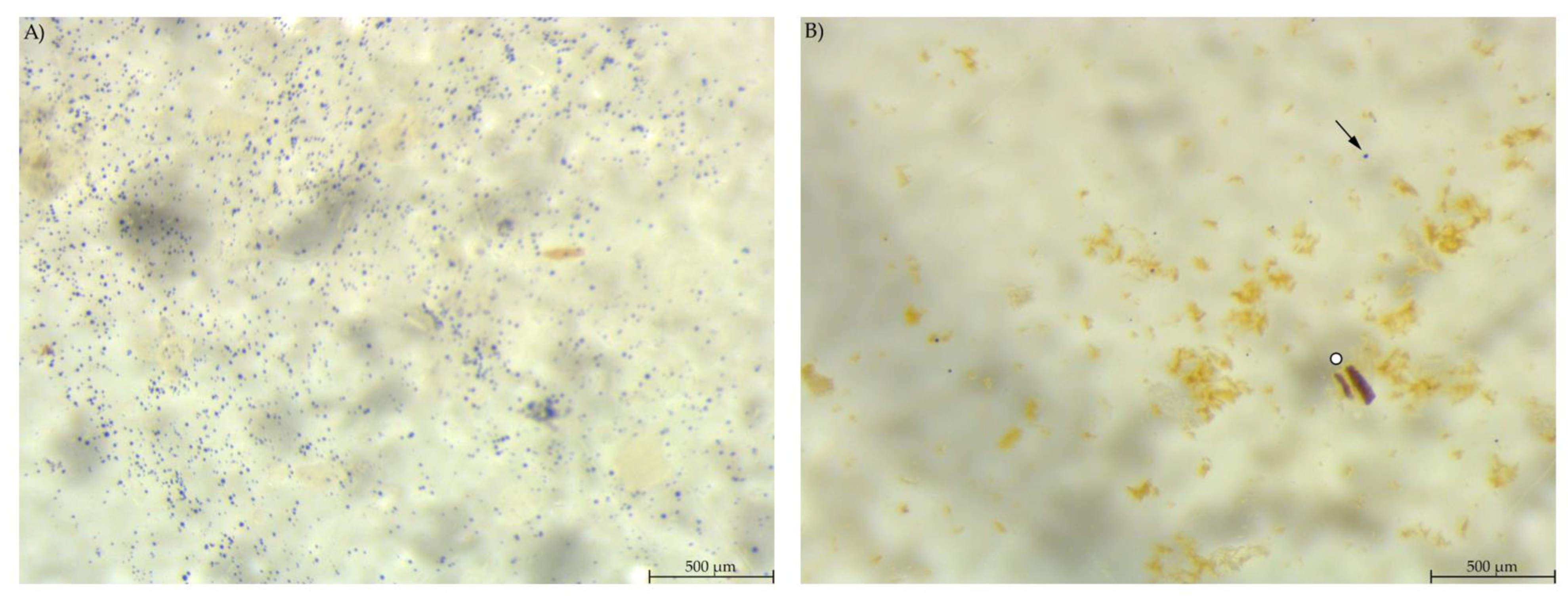 Animals 12 00952 g006