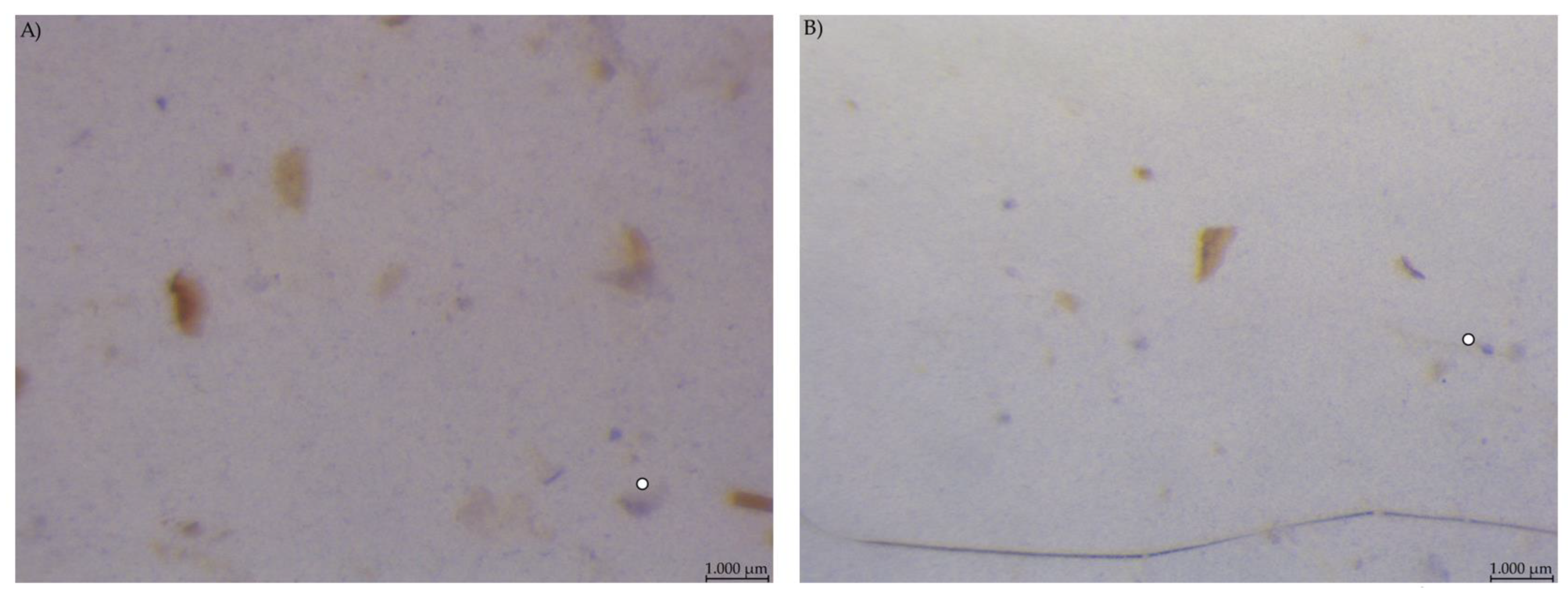 Animals 12 00952 g007