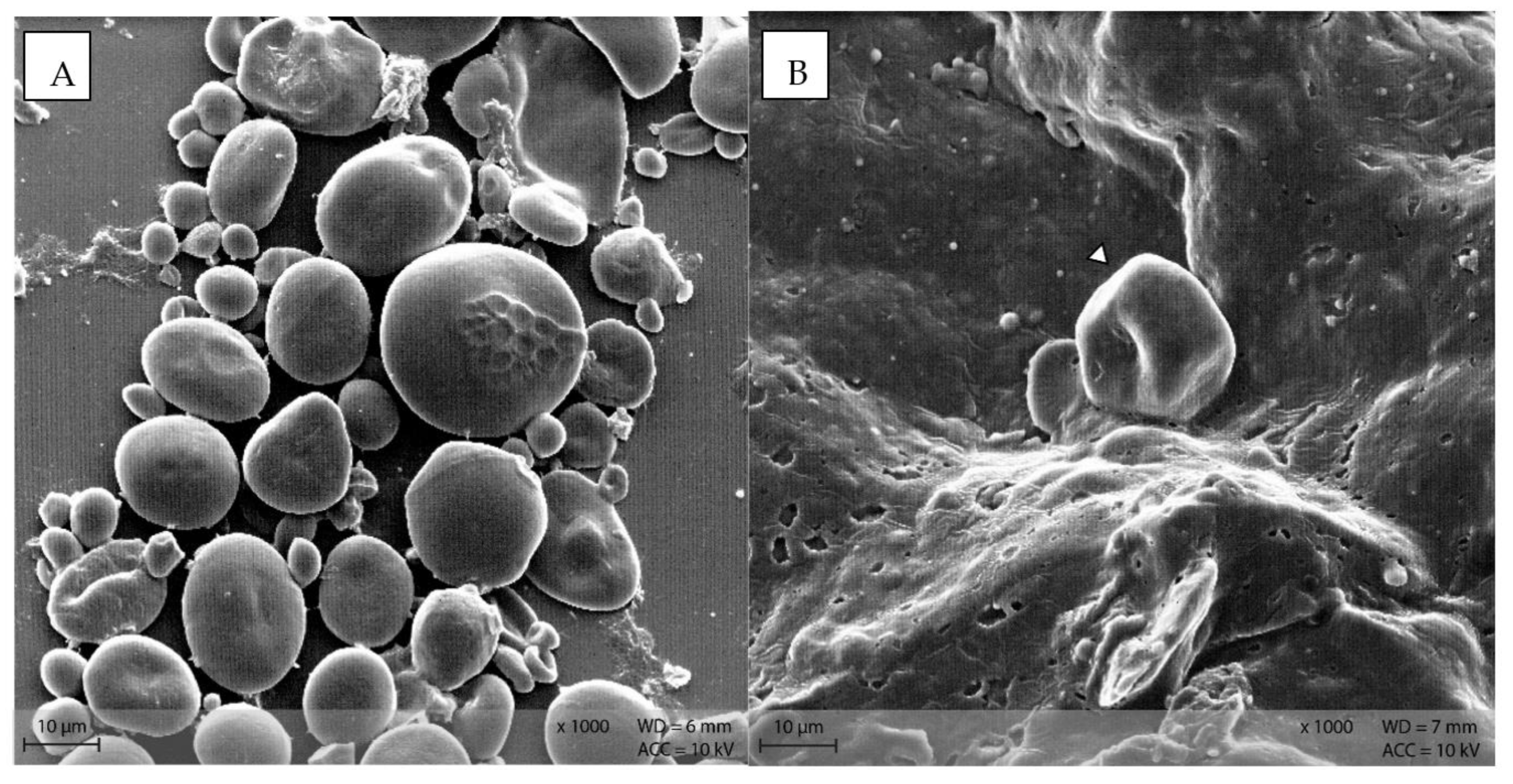 Animals 12 00952 g009