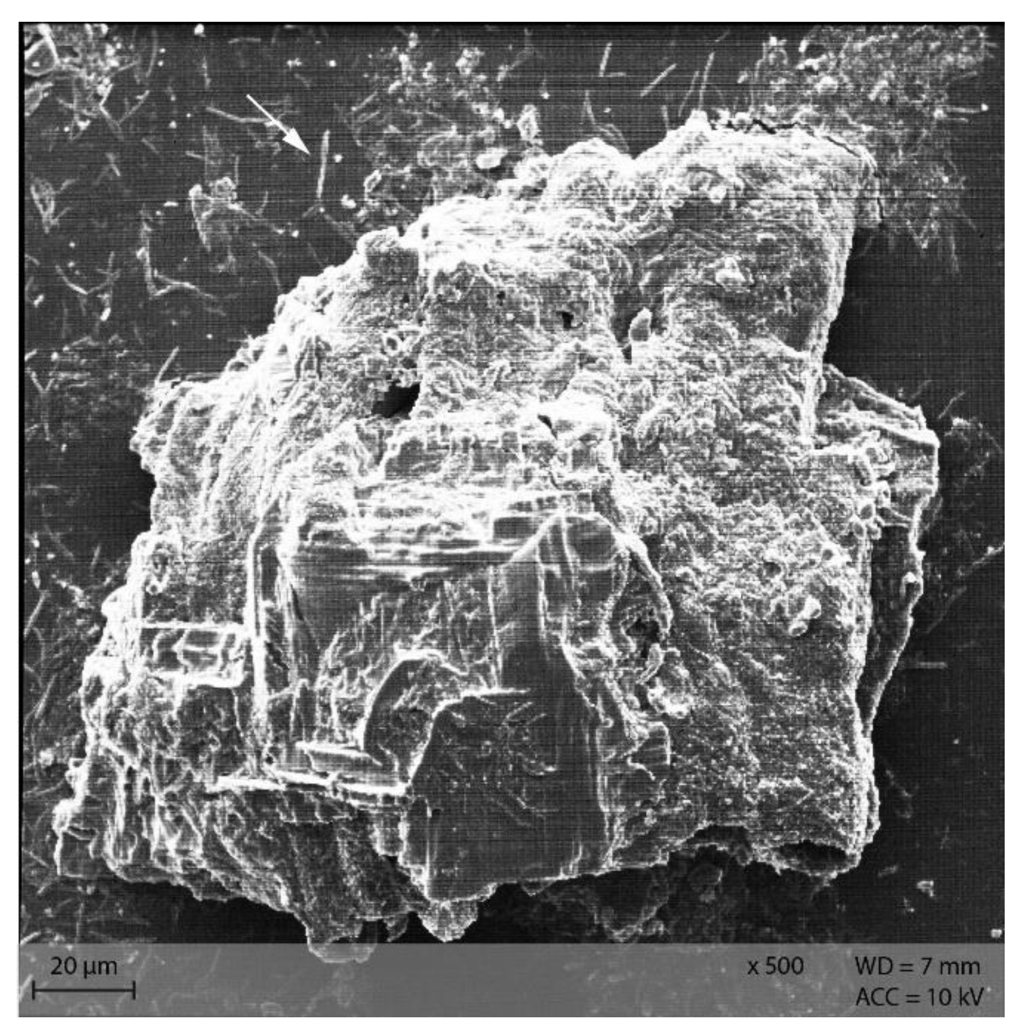 Animals 12 00952 g013