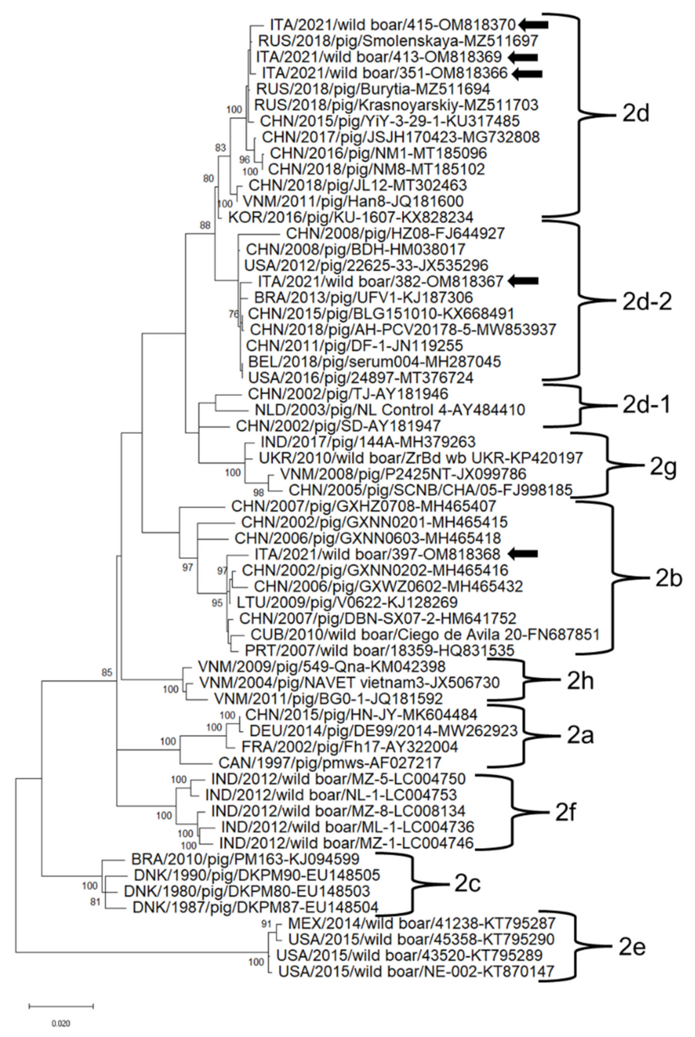 Animals 12 00953 g002 Animals 12 00953 g002