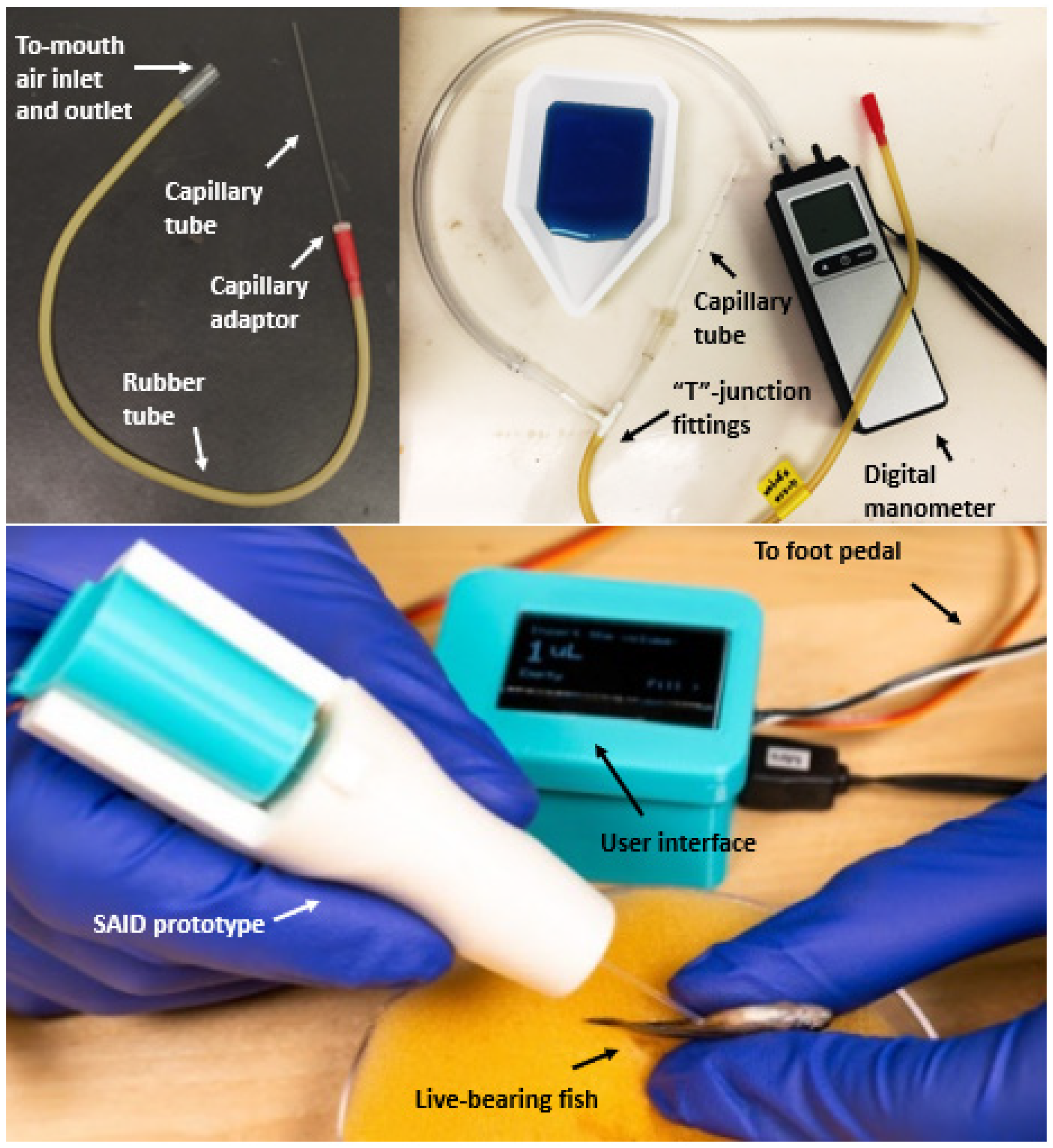 Animals 12 00961 g001