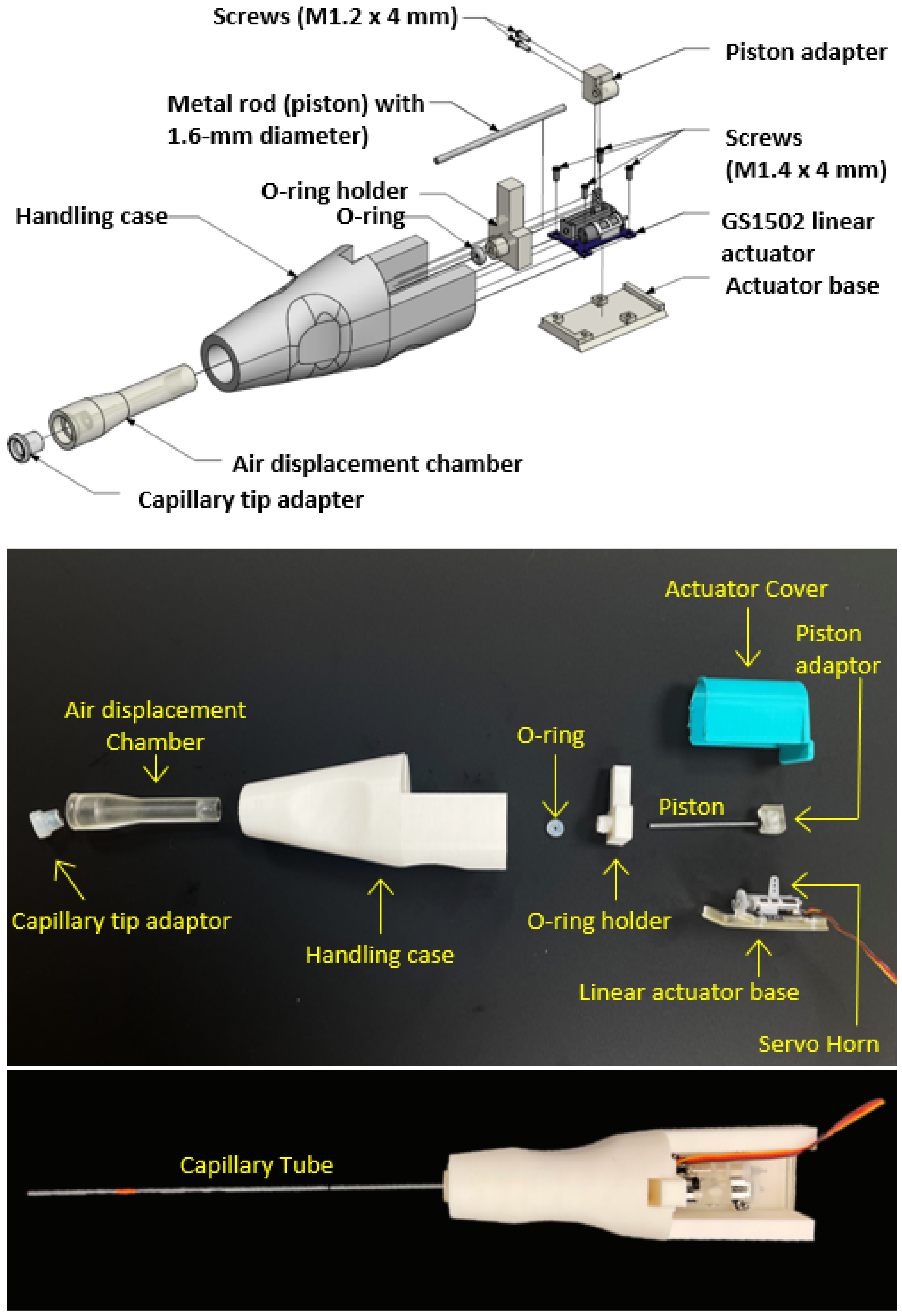 Animals 12 00961 g002