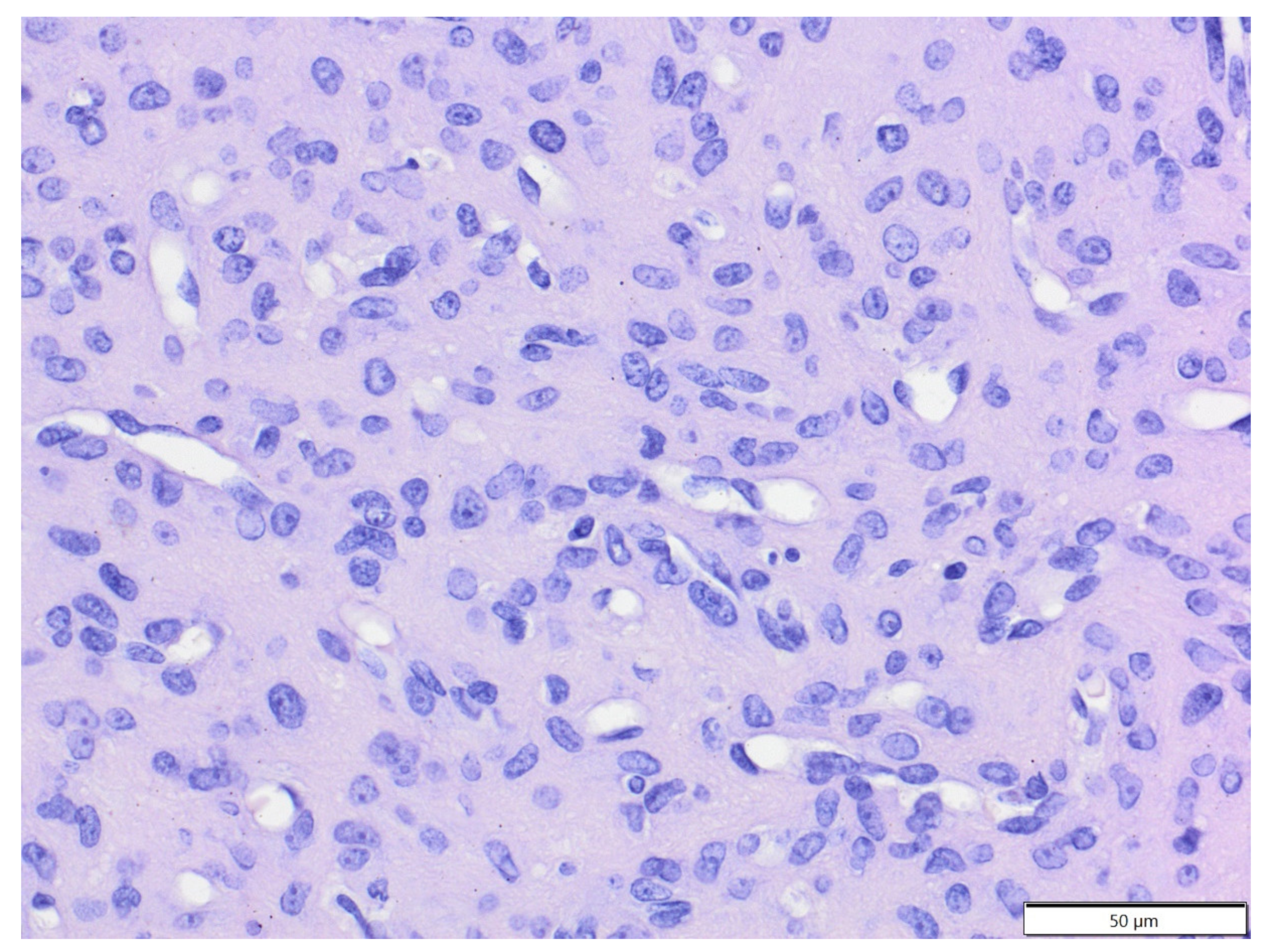 Animals 12 00965 g008 Animals 12 00965 g008