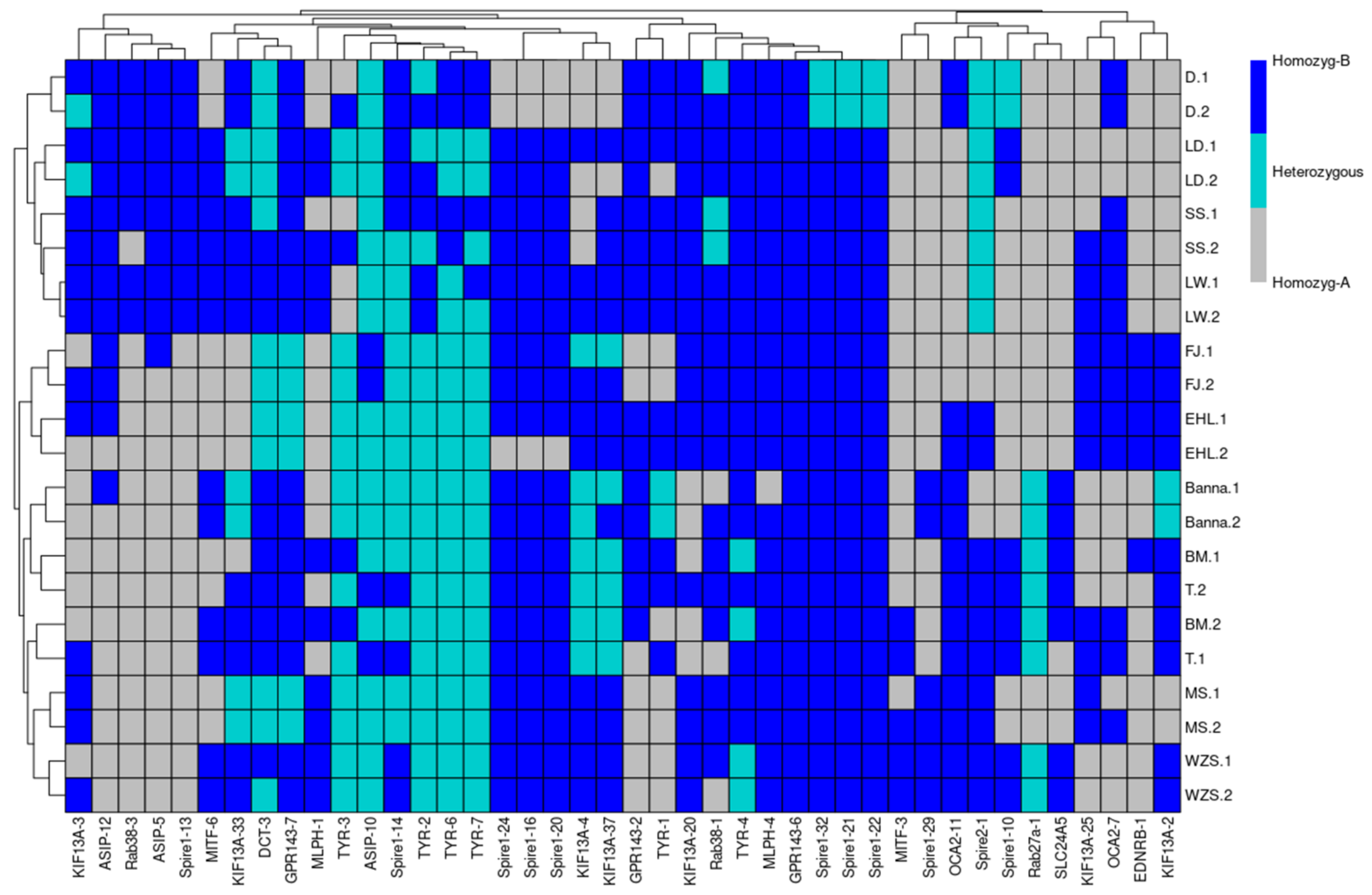 Animals 12 00969 g002