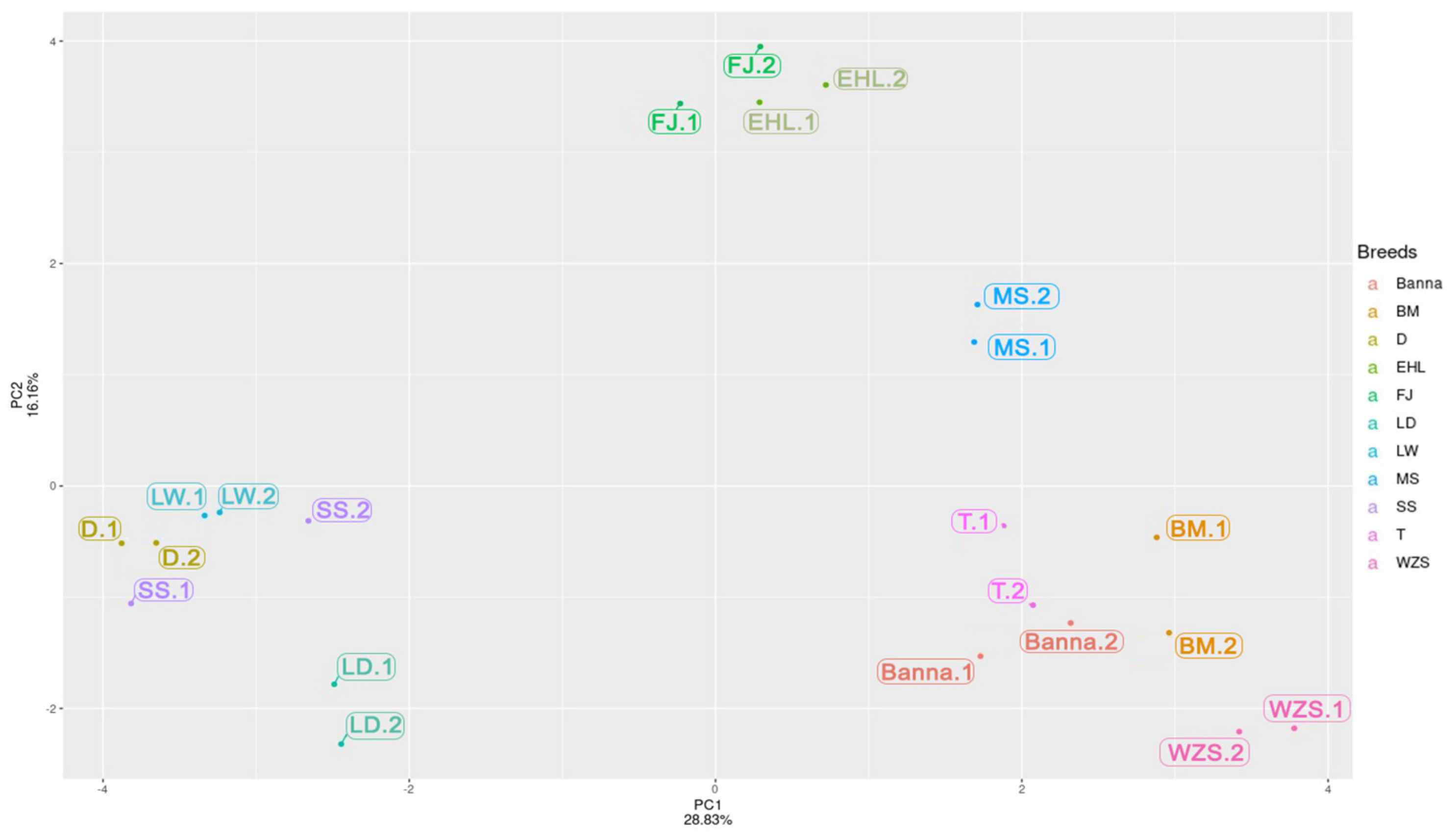 Animals 12 00969 g003