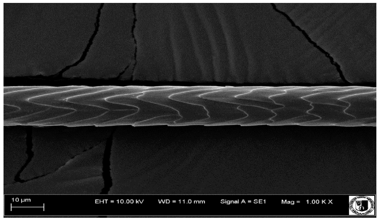 Animals 12 00971 i001 Animals 12 00971 i001