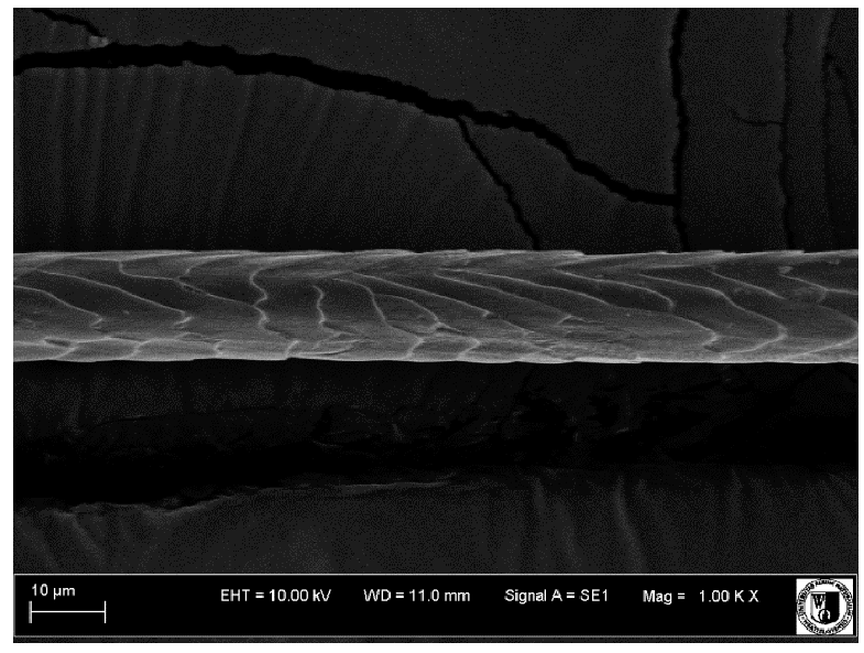 Animals 12 00971 i002 Animals 12 00971 i002