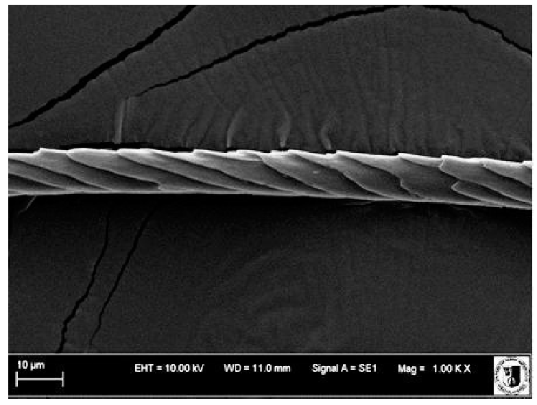 Animals 12 00971 i003 Animals 12 00971 i003