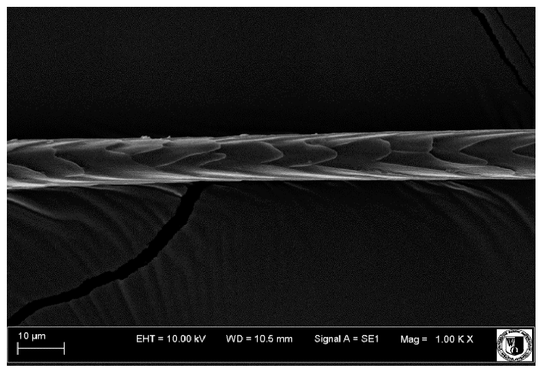 Animals 12 00971 i004 Animals 12 00971 i004