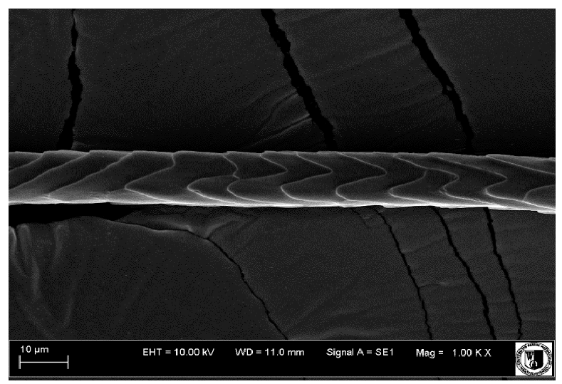 Animals 12 00971 i005 Animals 12 00971 i005