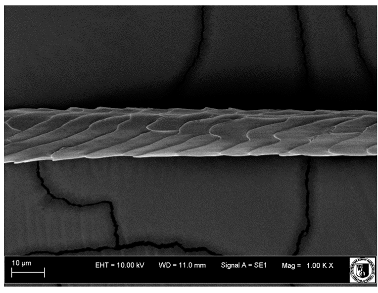 Animals 12 00971 i006 Animals 12 00971 i006