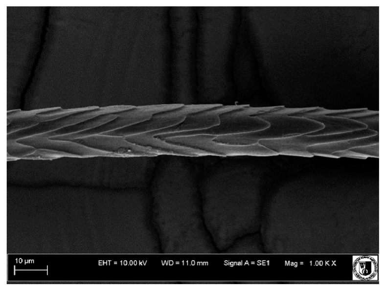 Animals 12 00971 i007 Animals 12 00971 i007