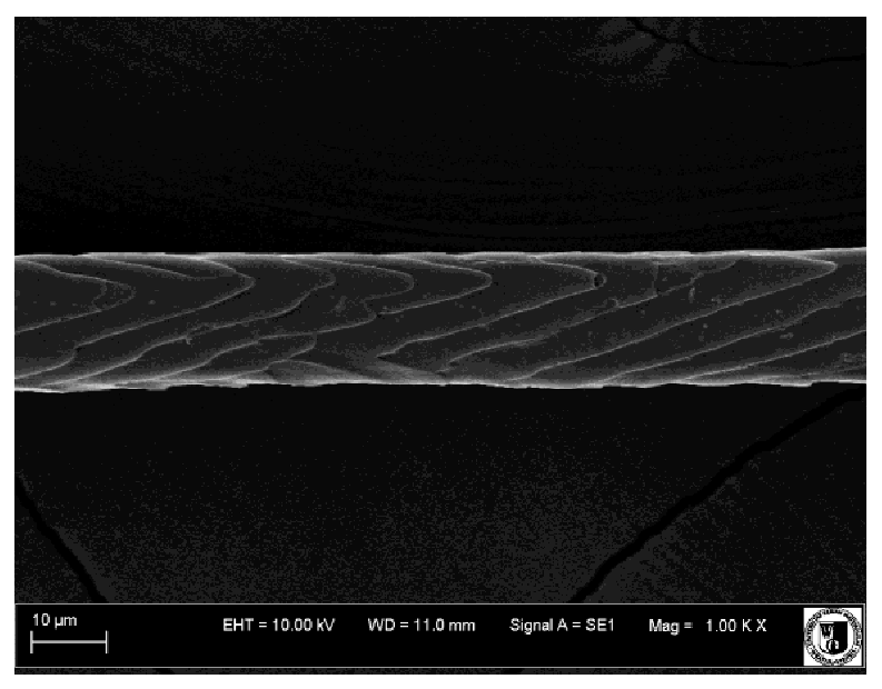 Animals 12 00971 i008 Animals 12 00971 i008