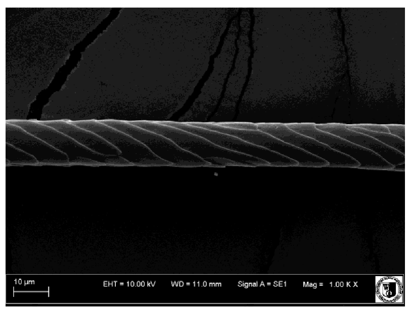 Animals 12 00971 i009 Animals 12 00971 i009