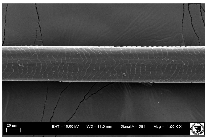 Animals 12 00971 i010 Animals 12 00971 i010