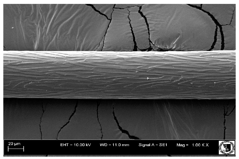 Animals 12 00971 i011 Animals 12 00971 i011