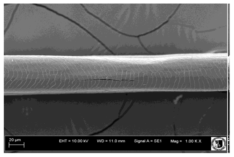 Animals 12 00971 i012 Animals 12 00971 i012