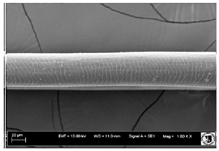 Animals 12 00971 i013 Animals 12 00971 i013