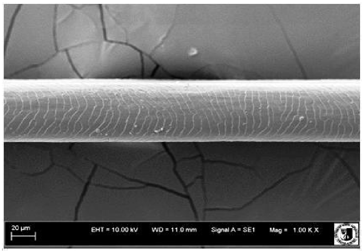 Animals 12 00971 i014 Animals 12 00971 i014