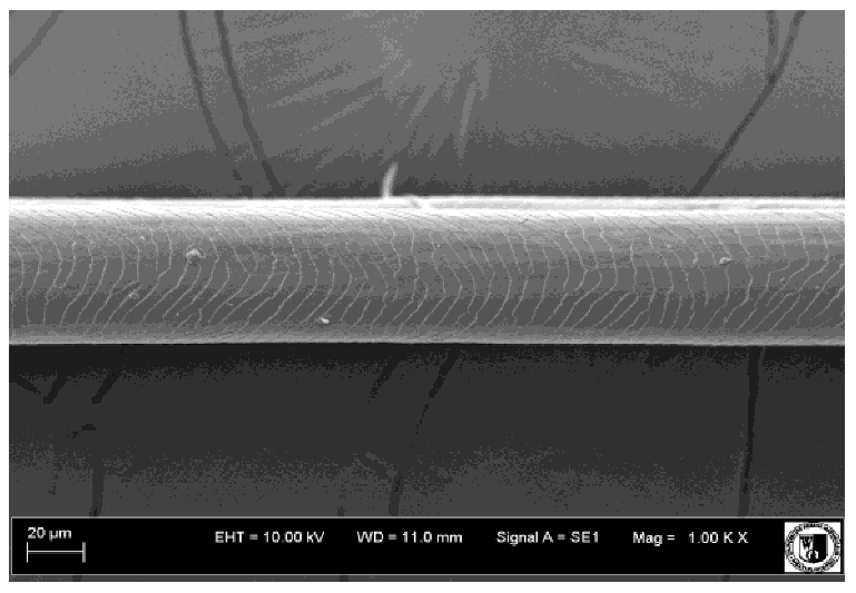 Animals 12 00971 i015 Animals 12 00971 i015