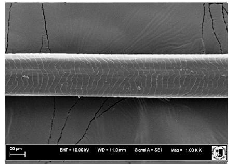 Animals 12 00971 i016 Animals 12 00971 i016