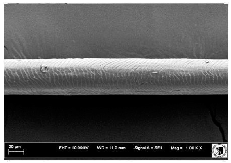 Animals 12 00971 i018 Animals 12 00971 i018