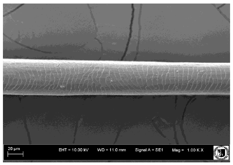 Animals 12 00971 i019 Animals 12 00971 i019