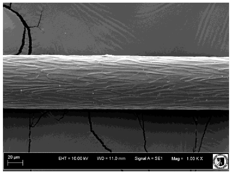 Animals 12 00971 i020 Animals 12 00971 i020