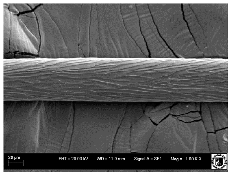 Animals 12 00971 i022 Animals 12 00971 i022