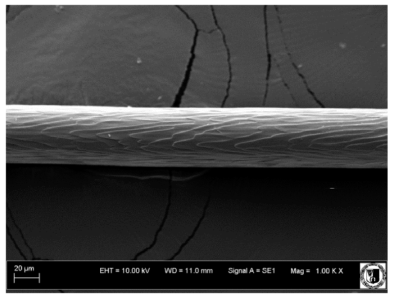 Animals 12 00971 i023 Animals 12 00971 i023