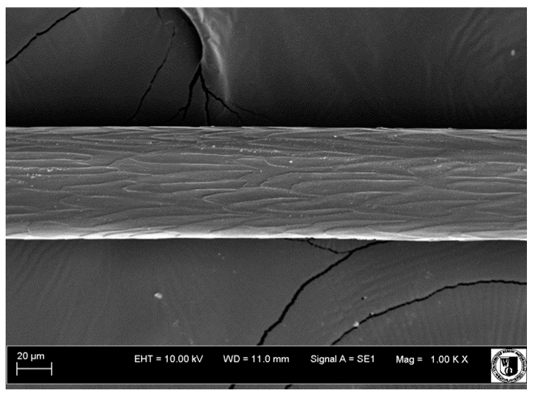 Animals 12 00971 i024 Animals 12 00971 i024