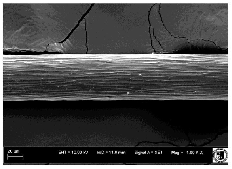 Animals 12 00971 i025 Animals 12 00971 i025