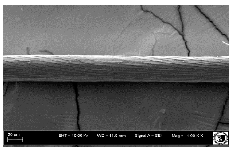 Animals 12 00971 i026 Animals 12 00971 i026