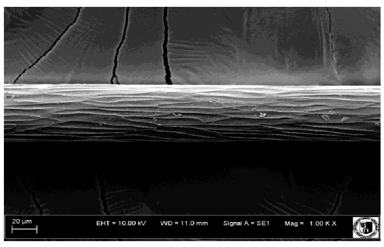 Animals 12 00971 i027 Animals 12 00971 i027