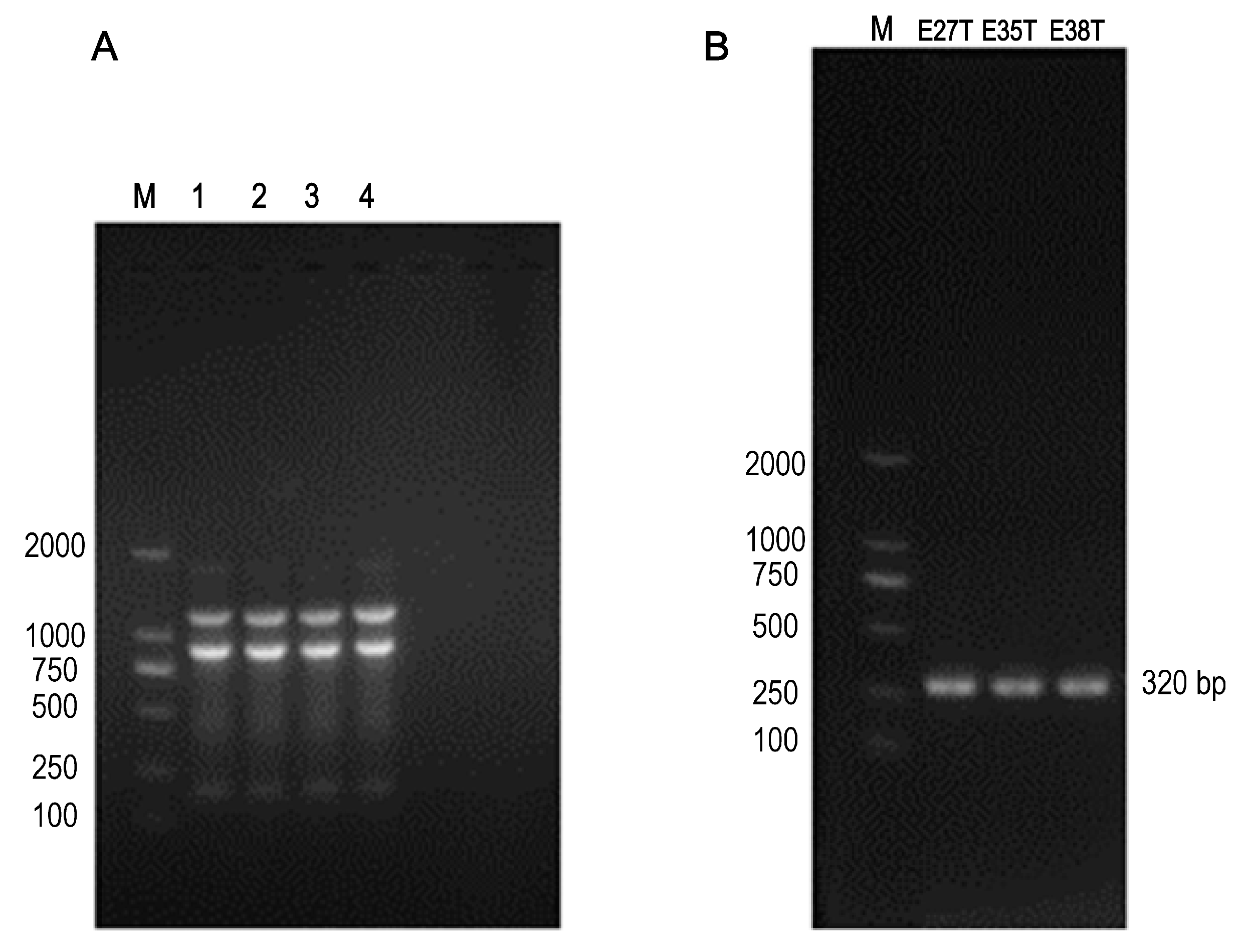 Animals 12 00976 g001 Animals 12 00976 g001