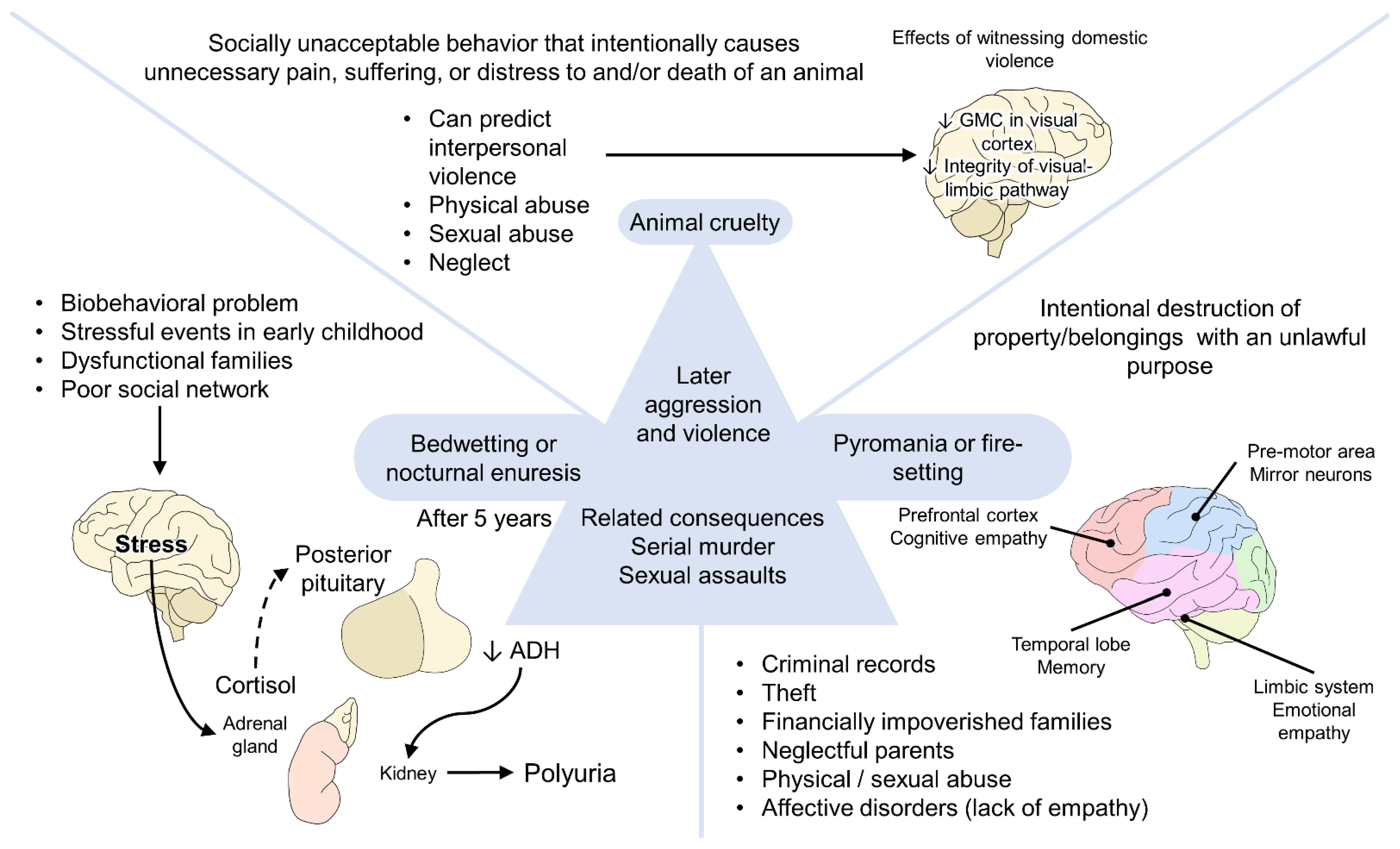 Animals 12 00977 g004