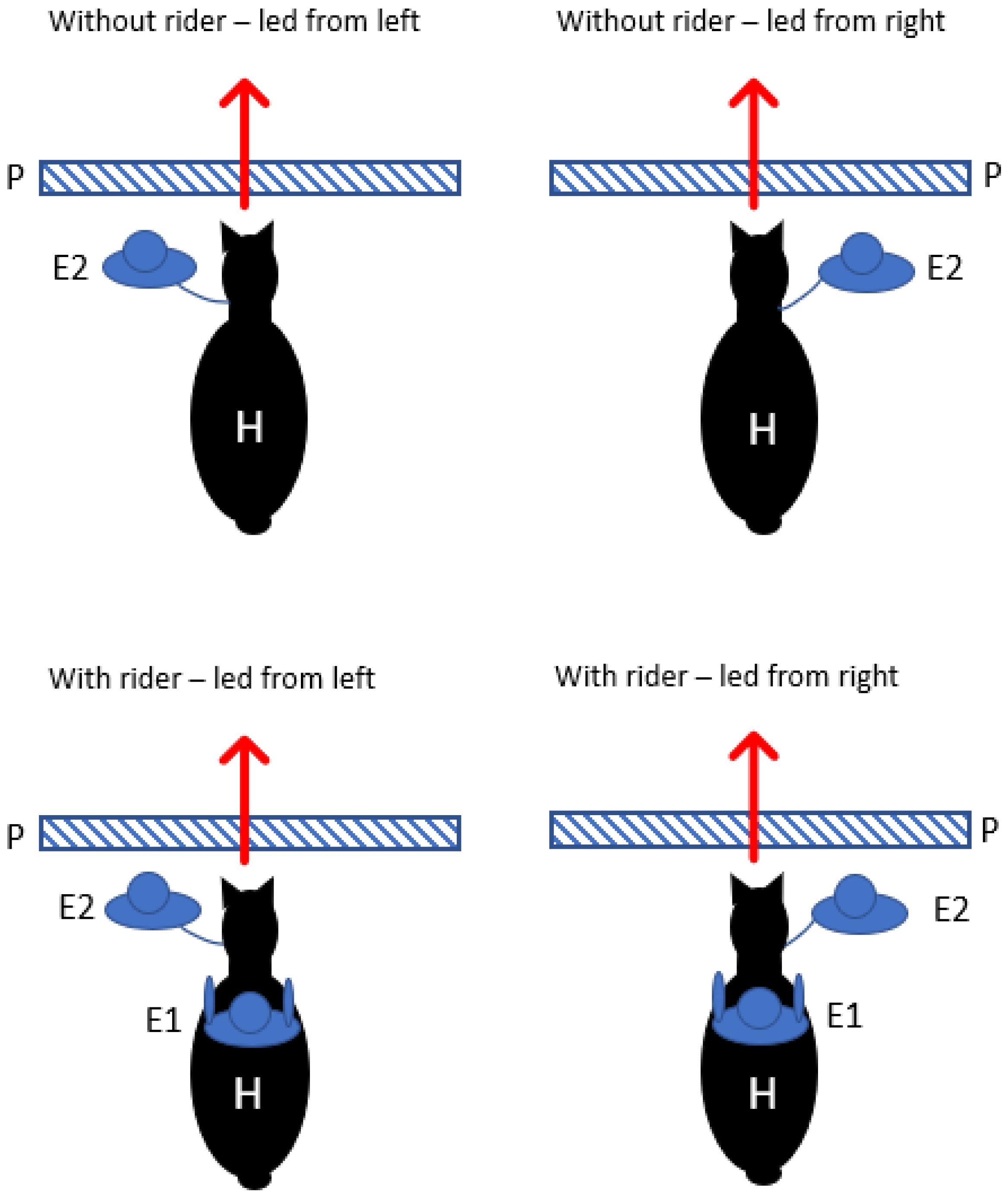 Animals 12 00992 g002