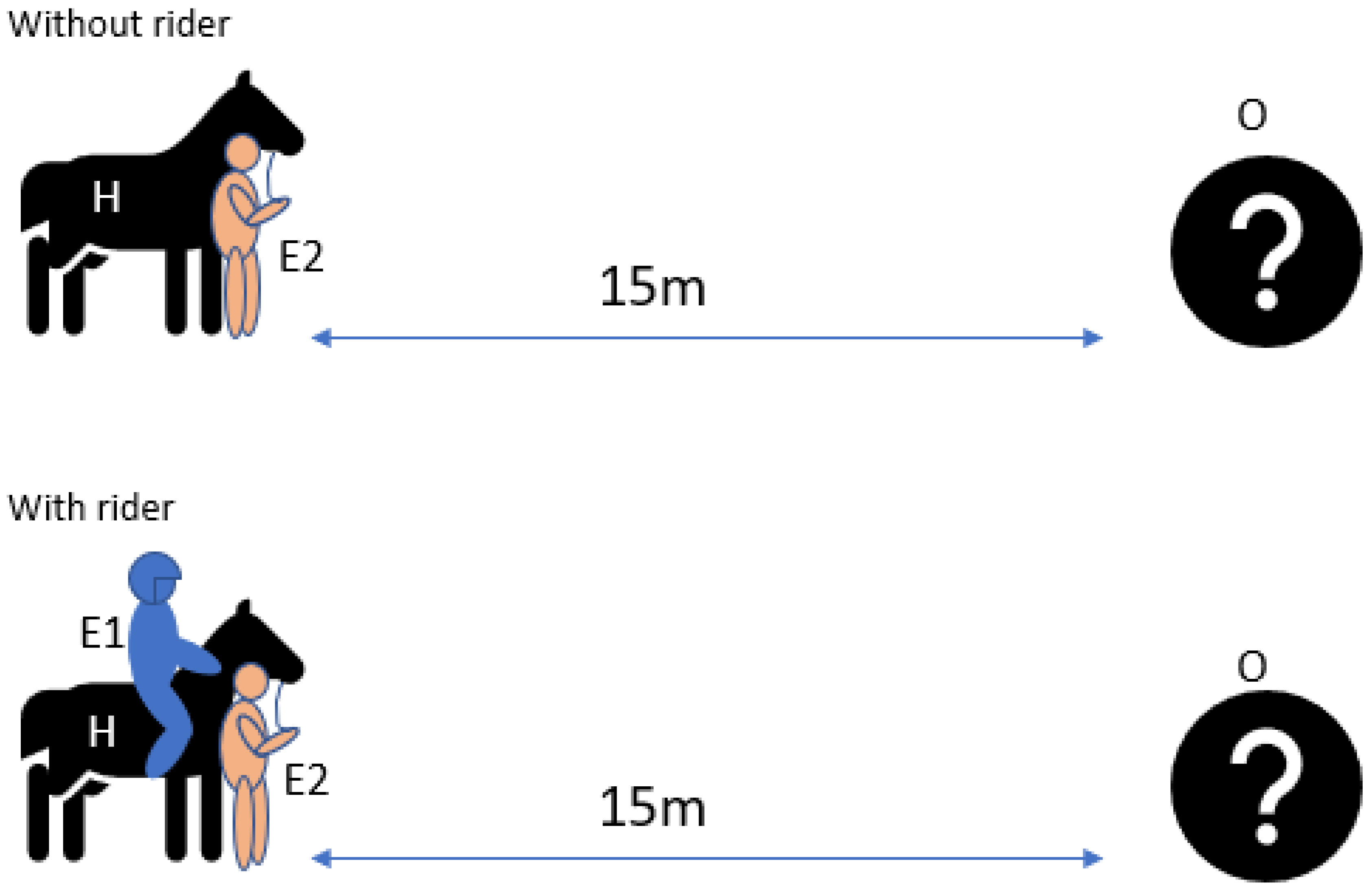 Animals 12 00992 g004