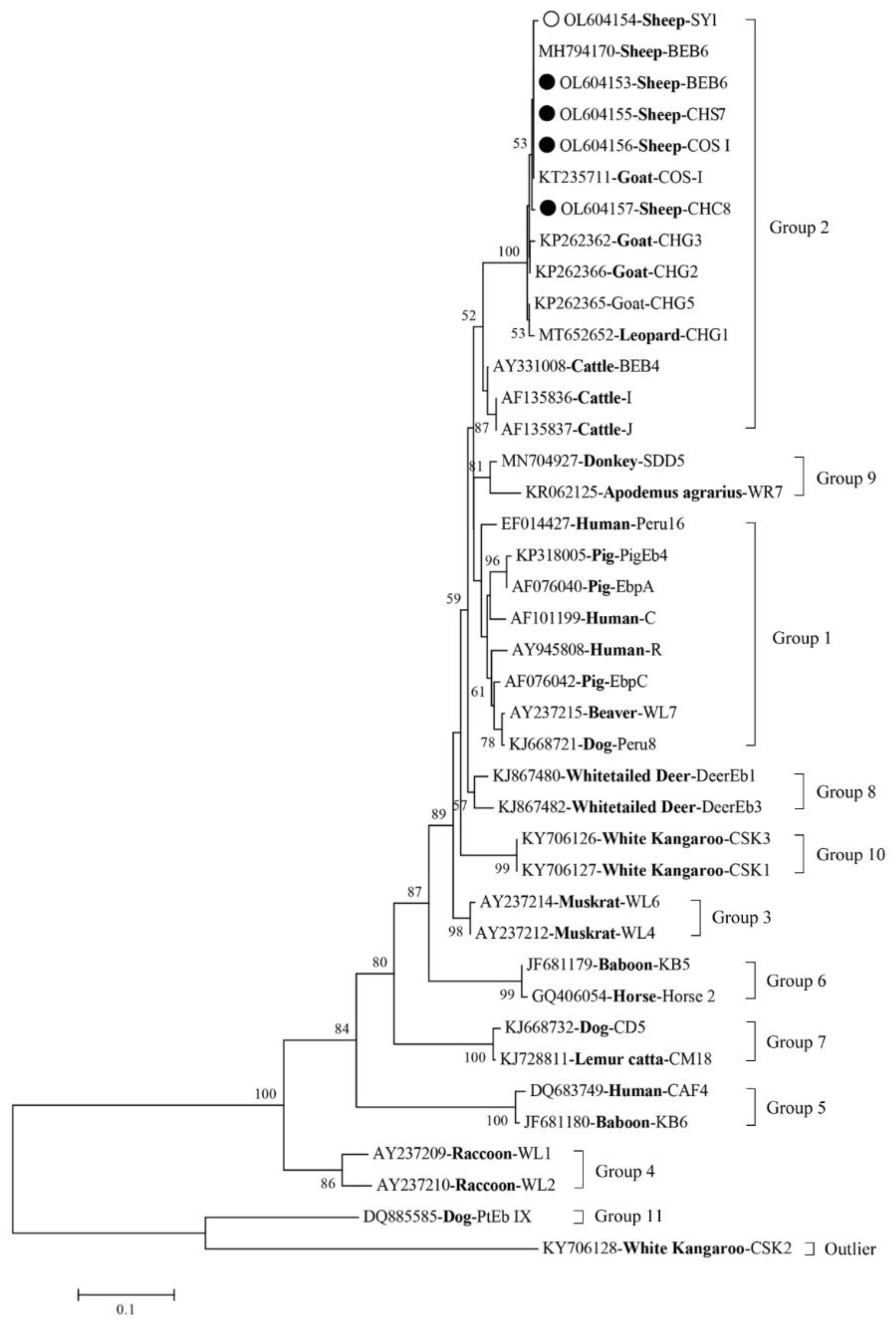 Animals 12 00993 g001