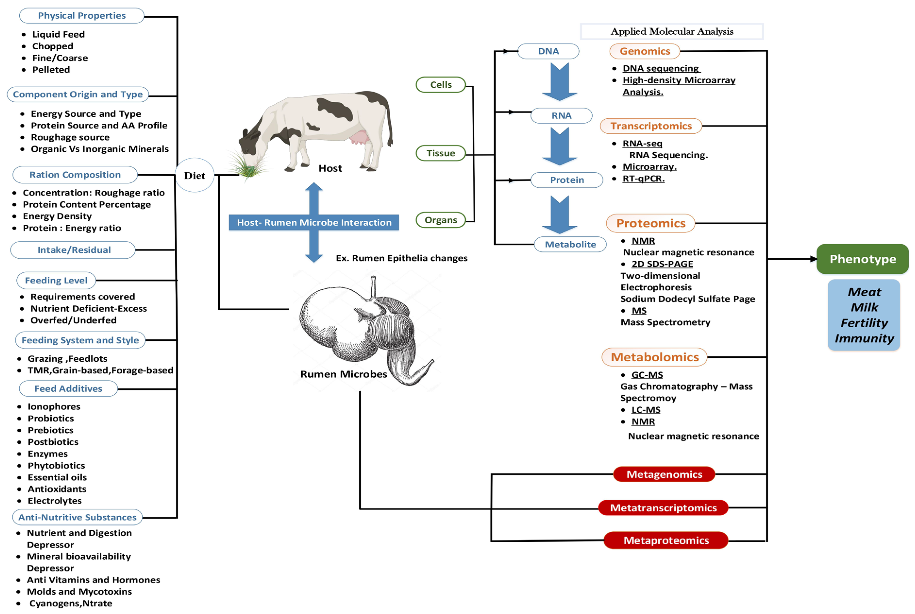 Animals 12 00997 g001