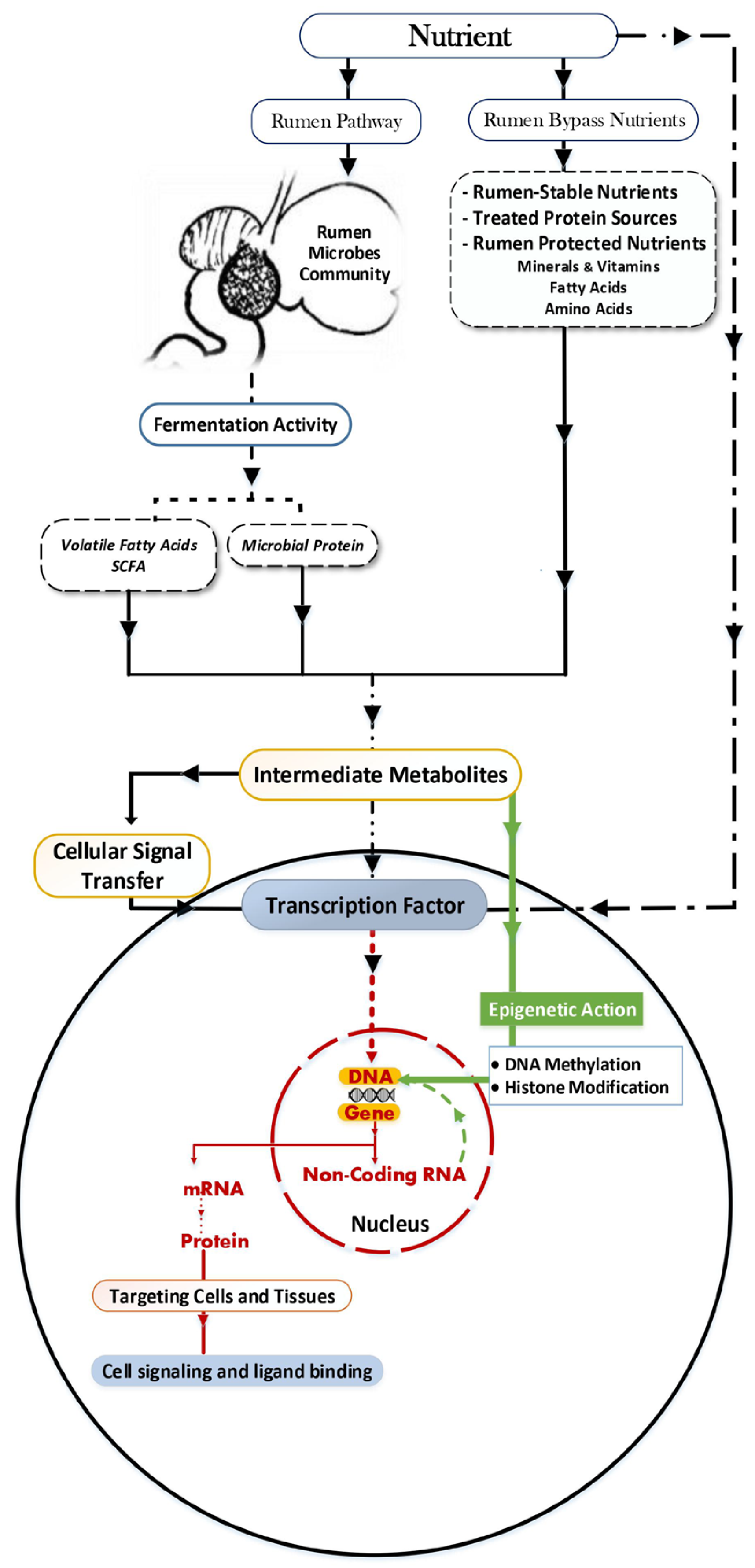 Animals 12 00997 g002