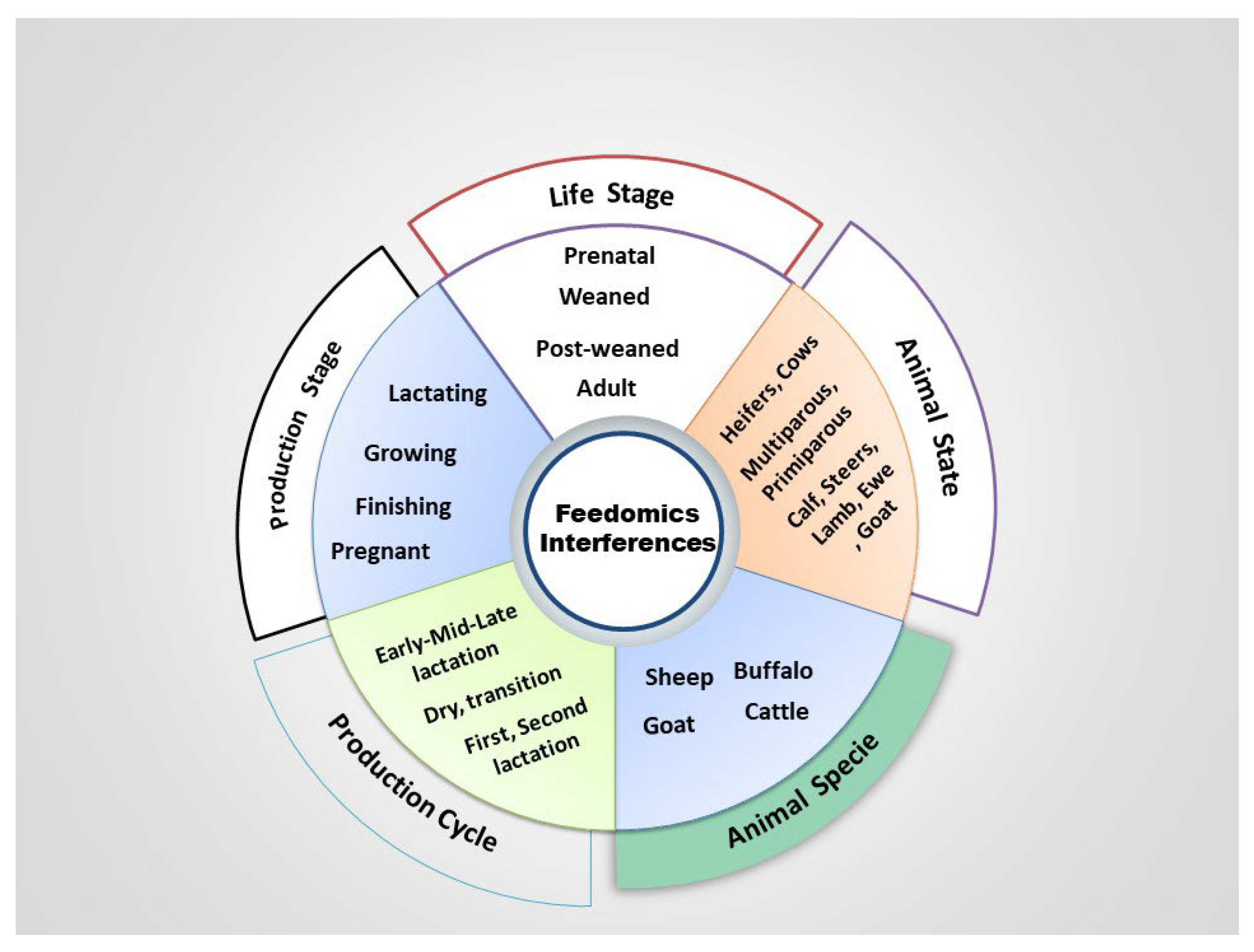 Animals 12 00997 g003