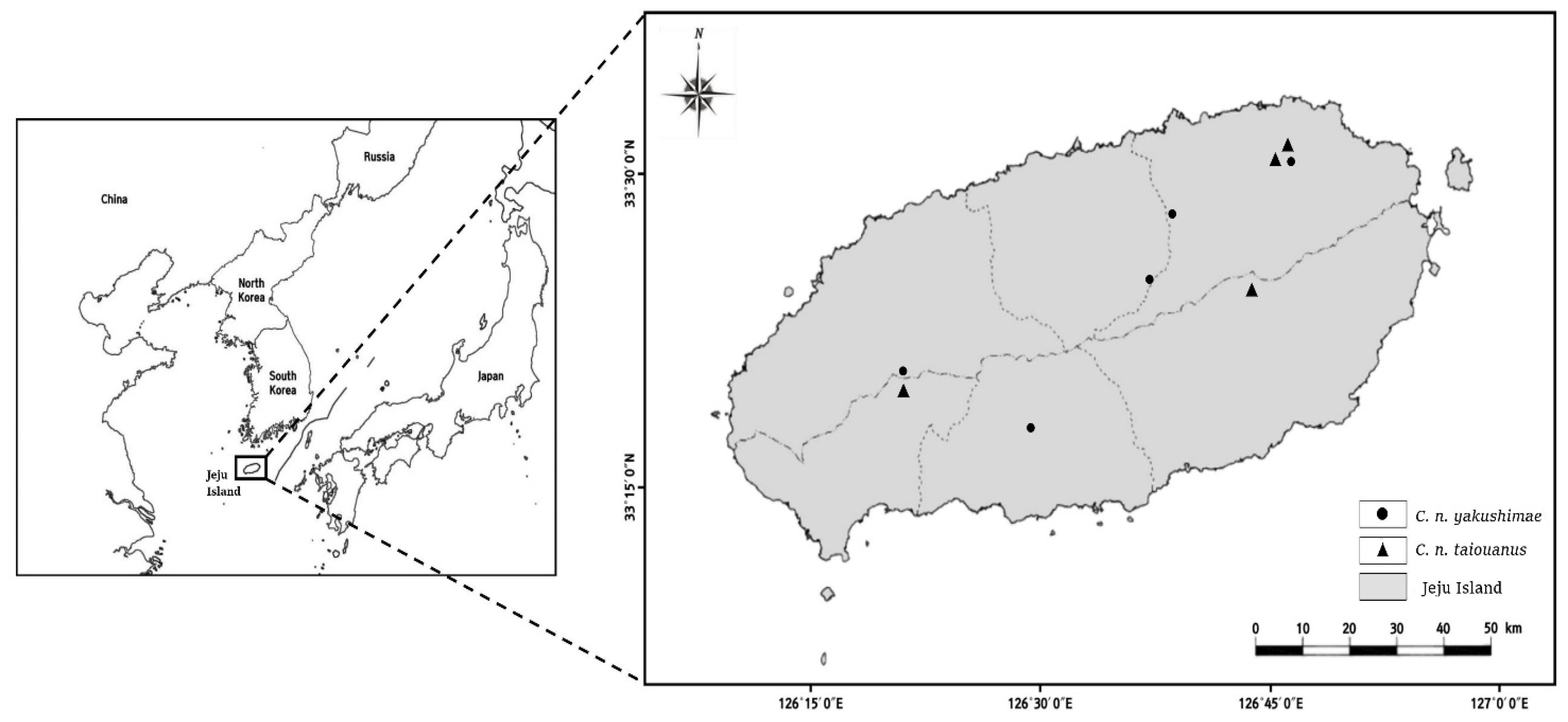 Animals 12 00998 g001