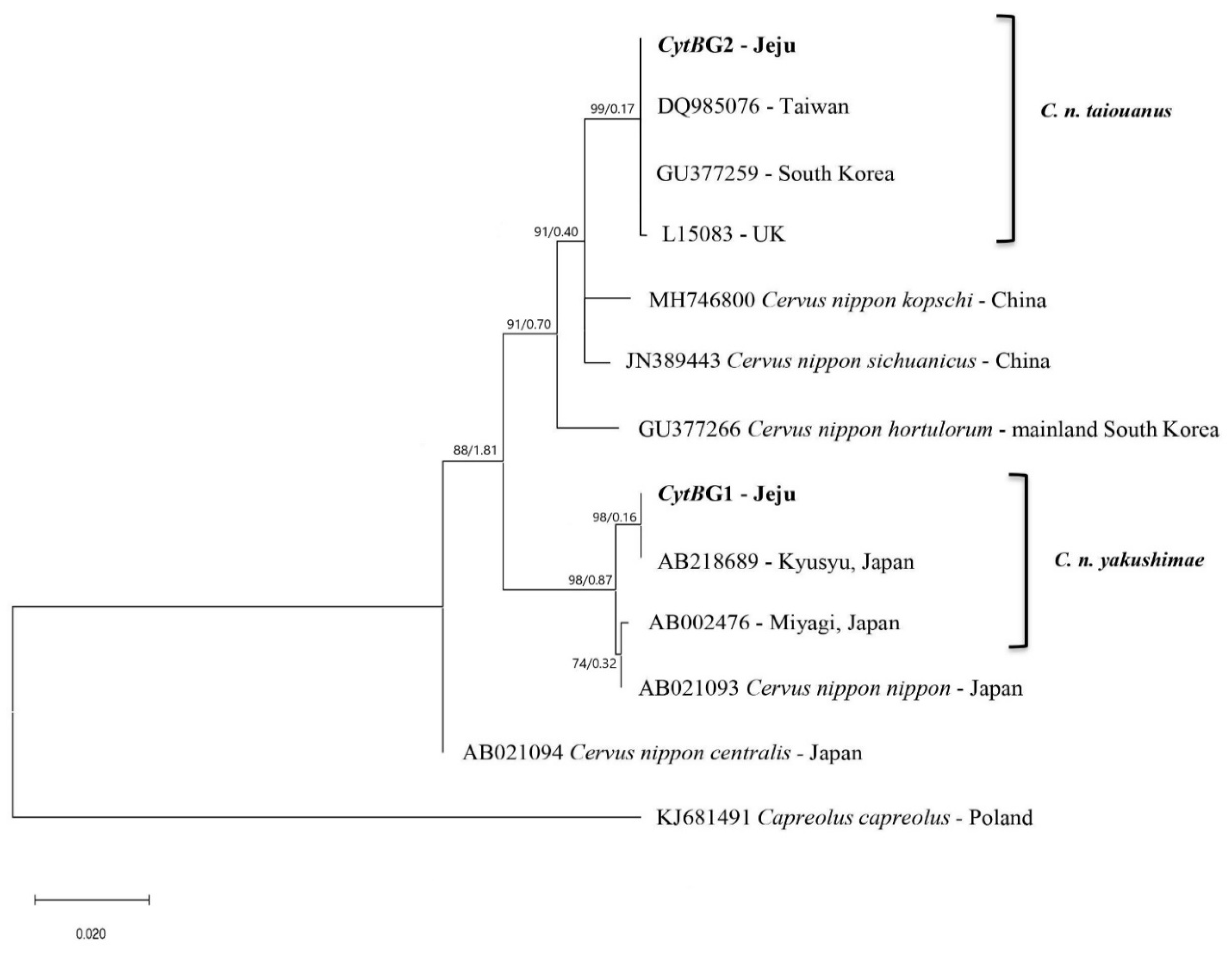 Animals 12 00998 g002