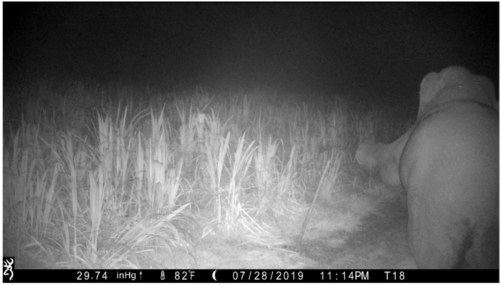 Animals 12 01018 g001