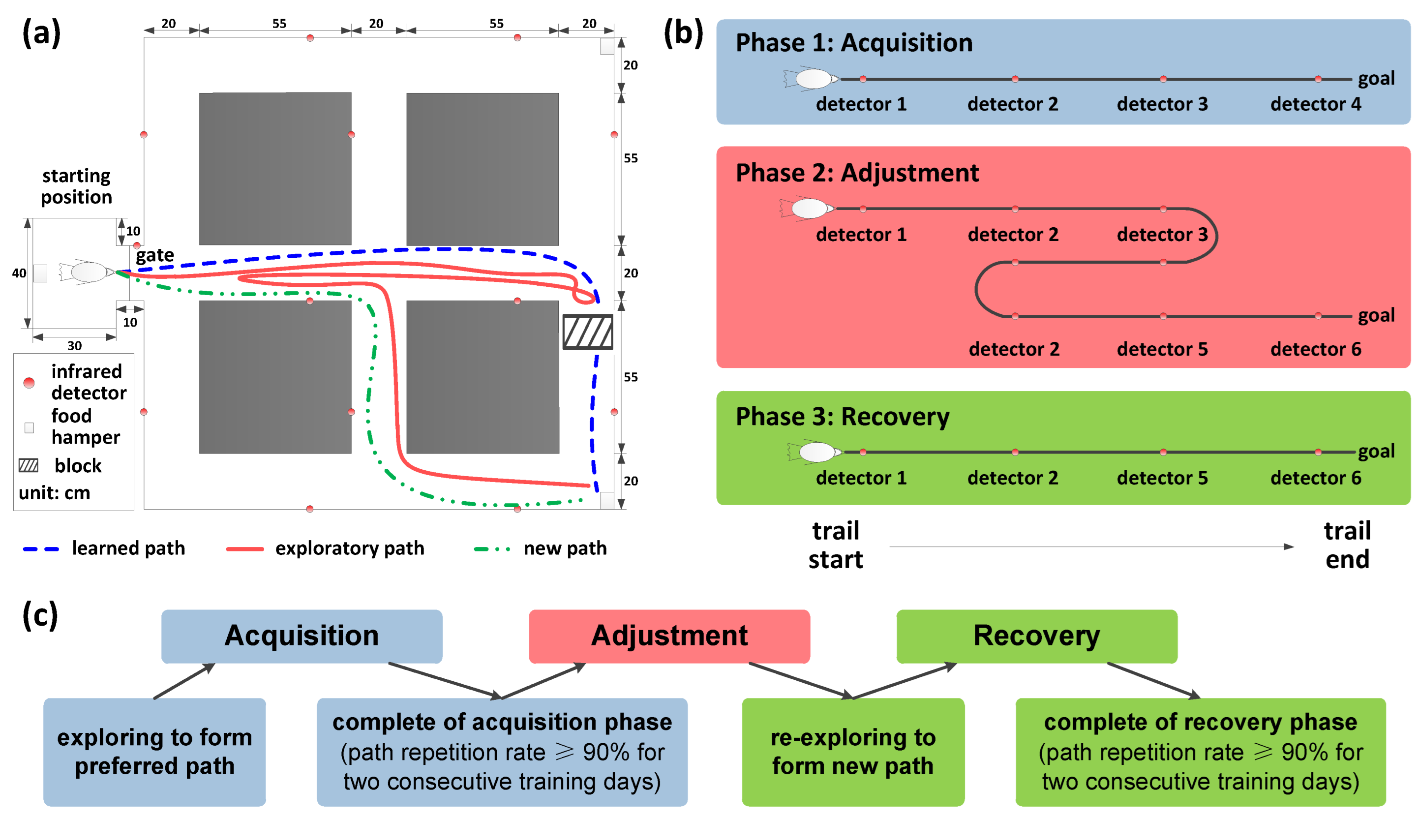 Animals 12 01019 g002
